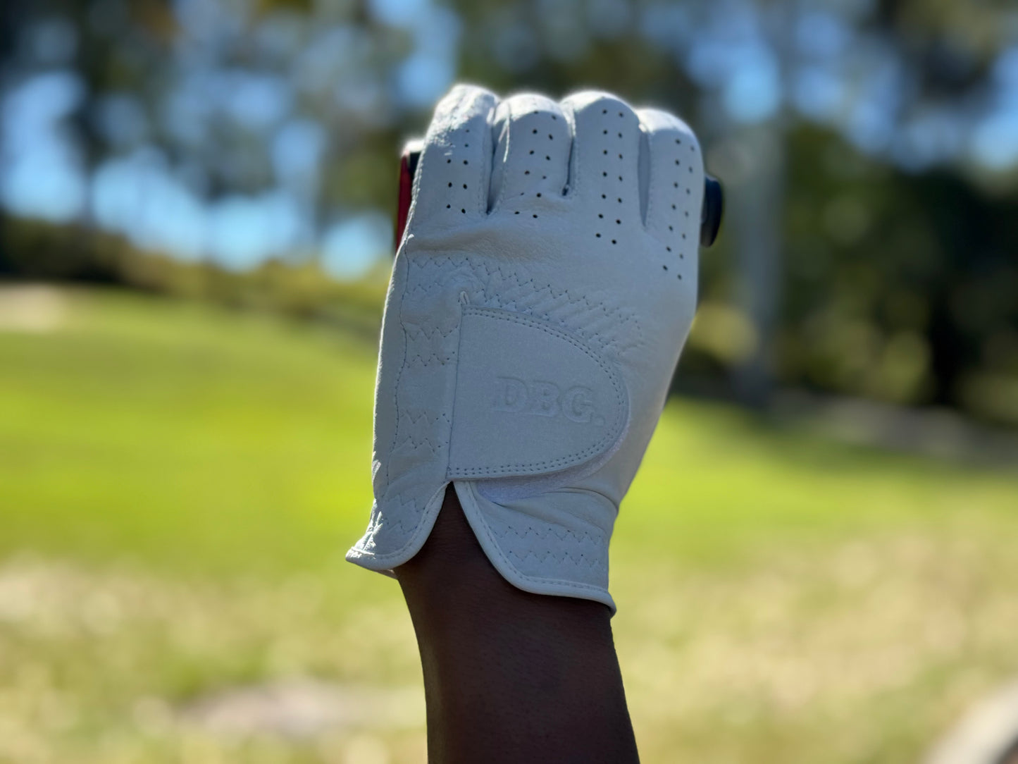 3 pack of Premium Cabretta Leather Tour Golf Gloves